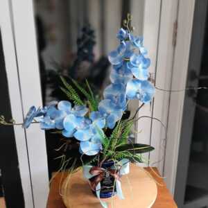 B165F478-7B59-4033-B910-510D83446601