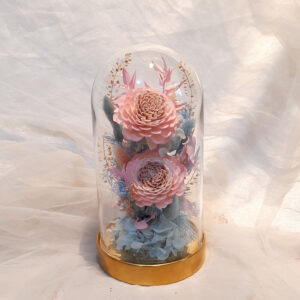 21E9765C-9E9B-44C3-9950-F7D69663CC0C