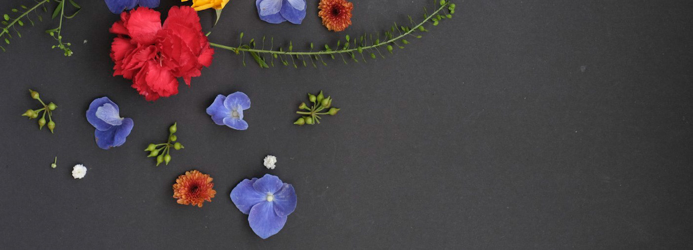 Image Slider